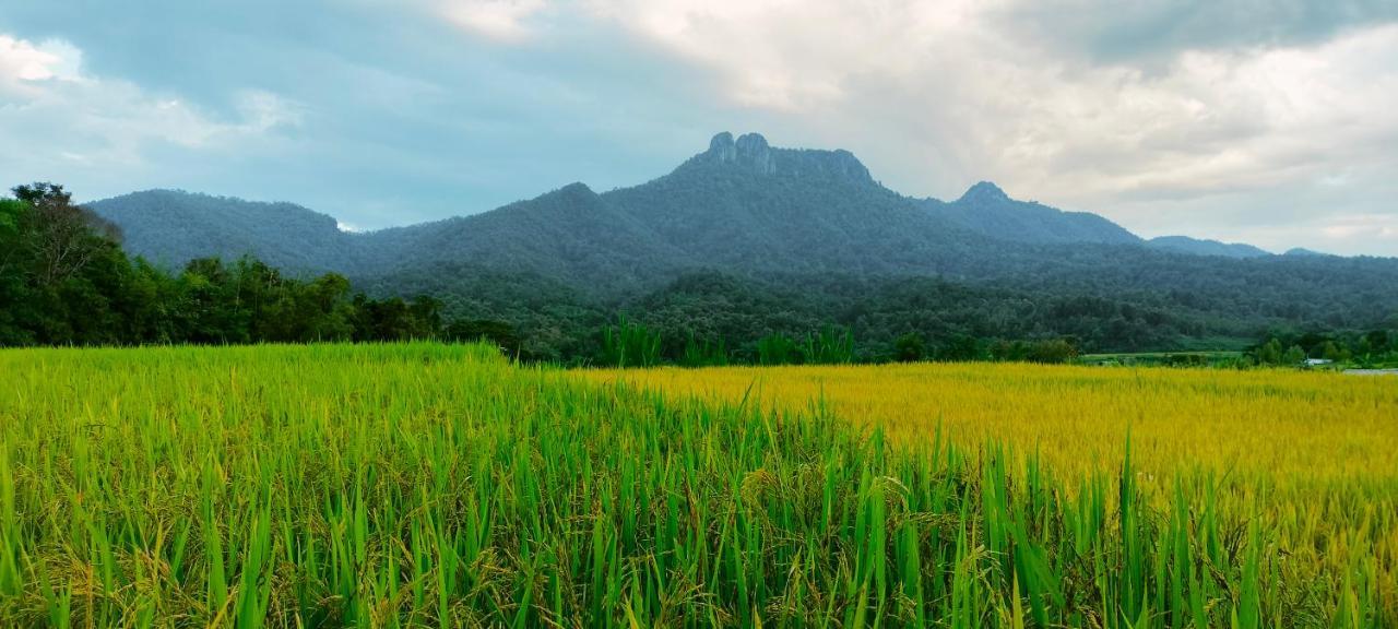 Khuang KomPimpisa Garden พิมพิศา การ์เด้นท์别墅 外观 照片